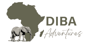 Diba Adventure  Logo