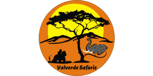 Valverde Safaris