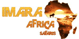 Imara Africa Safaris 