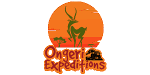 Ongeri Expeditions Logo