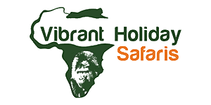 Vibrant Holiday Safaris Logo