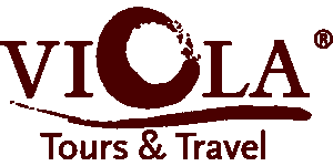 Viola Tours and Travel Logo