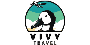 Vivy Travel Madagascar Logo