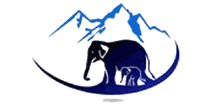 Wal-Mark Africa Safaris Logo