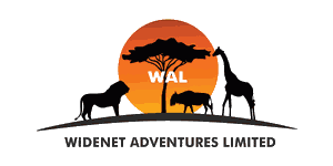 Widenet Adventures Logo