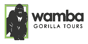 Wamba Gorilla Tours