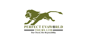 Perfect Evaworld Tours  Logo