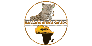 Raccoon Safaris Logo