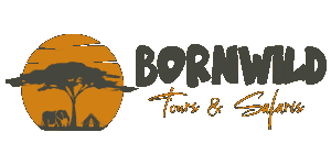 Bornwild Tours and Safaris Logo