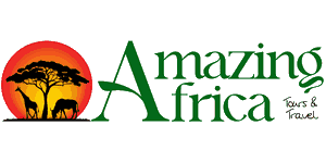 Amazing Africa Tours and Travels Logo