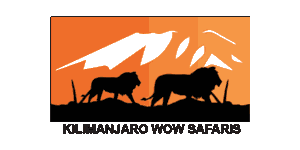 Kilimanjaro Wow Safaris Logo