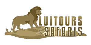 Luitours and Safaris logo