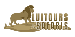 Luitours and Safaris Logo