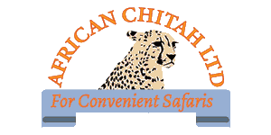 African Chitah logo