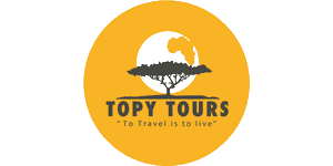 Topy Tours logo