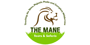 The Mane Tours & Safaris