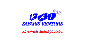 Kai Safaris Venture