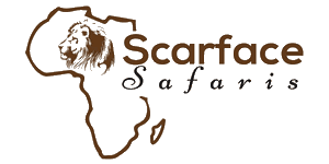 Scarface Safaris Logo