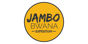 Jambo Bwana Expedition