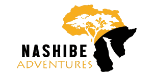 Nashibe Adventures Logo