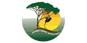 Antique Safari Adventures Logo
