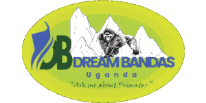 Dream Bandas Uganda Logo