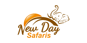 Newday Safari