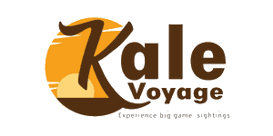 Kale Voyage Expedition  Logo