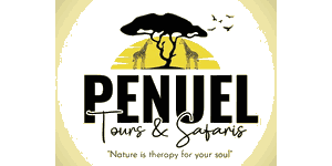 Penuel Tours and Safaris Logo