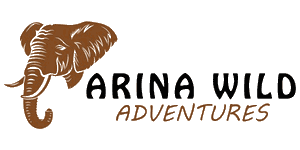 Arina Wild Adventures