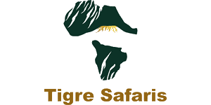 Tigre Safaris