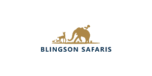 Blingson Safaris