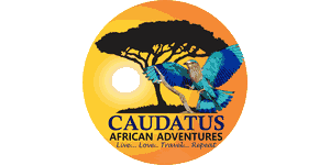 Caudatus African Adventures Logo