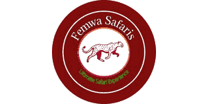 Femwa safaris
