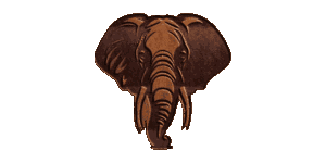 Keystone Tours and Safaris Logo