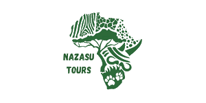 Nazasu Tours Logo