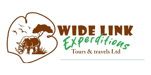 Widelink Expeditions Tours & Travel Logo