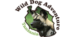 Wild Dog Adventure Tanzania