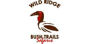 Wild Ridge Bush Trails Safaris Logo
