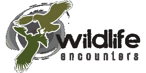 Wildlife Encounters Logo