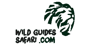 Wildguide Safari & Tours Logo