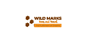 Wild Marks Safaris