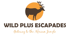 Wildplus Escapades  Logo