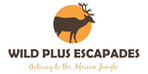 Wildplus Escapades  logo