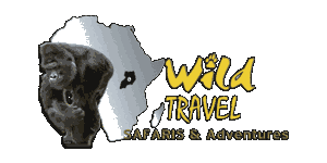 Rinsa Wild Travel Safaris Logo