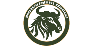 Wildebeest Footsteps Adventures