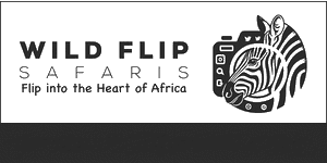 Wildflip Company  Logo