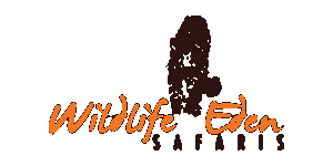 Wildlife Eden Safaris 