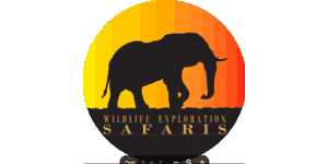 Wildlife Exploration Safaris Logo