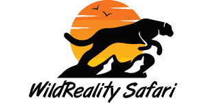 WildReality Safari logo